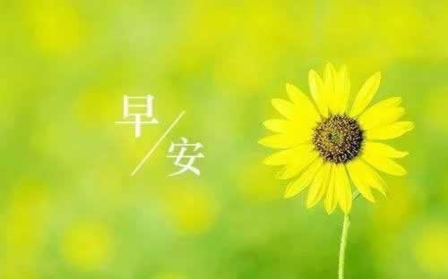 在網上平臺風控審核不給提款 解決方案（圖）