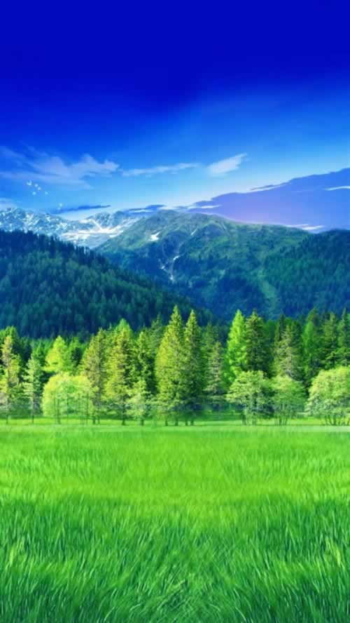 被黑錢出不來怎么處理咋整（圖）