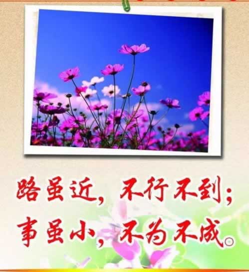 碰到提現(xiàn)不了提款失敗大家怎么看（圖）