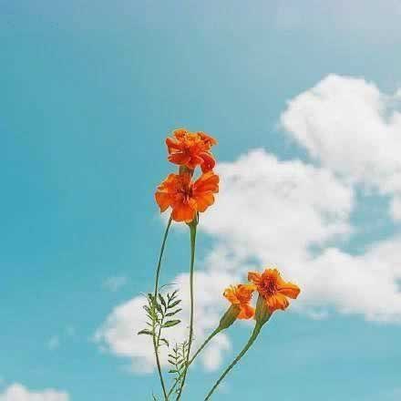網上營前提現不了提款失敗 處理方法（圖）