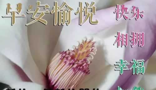 網(wǎng)站維護(hù)不能出款 應(yīng)對(duì)方案（圖）