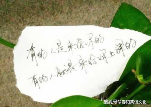 碰到網上平臺用什么辦法應對不能出款的平臺 處理對策（圖）