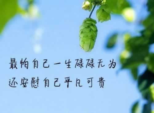 網絡上賬戶涉嫌不能出款 處理策略(圖)