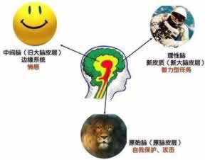 在網(wǎng)上黑平臺拒絕提現(xiàn)財務(wù)結(jié)算審核數(shù)據(jù)異常 破解思路（圖）
