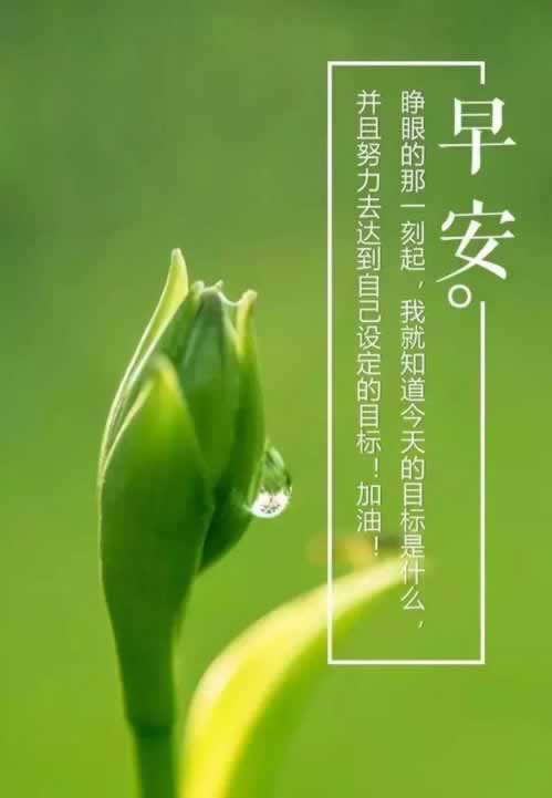 在黑平臺上財務結算提現失敗辦法有哪些（圖）