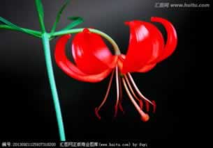 在網上黑平臺通道維護升級不給提現有辦法嗎（圖）