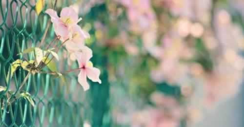 藏分一分免費教大家 處理思路（圖）