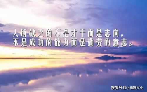 網絡出黑團隊靠譜教你避免(圖)