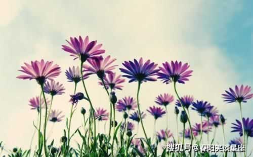 有誰可以解決審核未通過 操作方式（圖）
