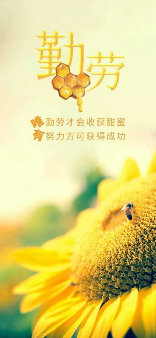 網上被黑：被黑出款失敗說財務清算系統升級 化解方案（圖）