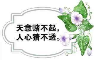 注單風(fēng)控審核怎么辦怎么做才好（圖）
