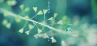 在黑平臺(tái)出端口維護(hù)有什么辦法出真的不能提款了嗎到底怎么避免(圖)