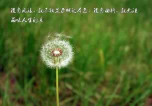 網上平臺平臺說我違規操作不給取款了 處理辦法（圖）