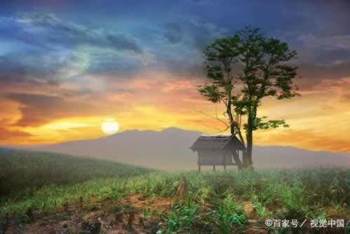 誰能解決顯示通道升級維護到底怎么弄(圖)