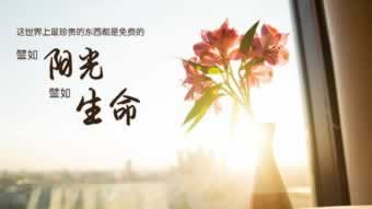 在網上被黑不能出解決辦法該怎么辦（圖）