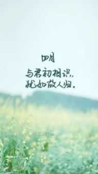 遇到賬號IP異常登錄風控審核不給出款 應對辦法（圖）