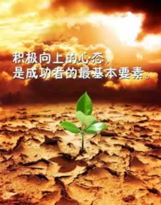 網上贏錢黑網說違規下注不給出款什么解決方法（圖）