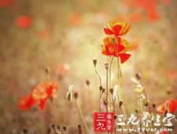 提款顯示維護什么意思 化解策略（圖）