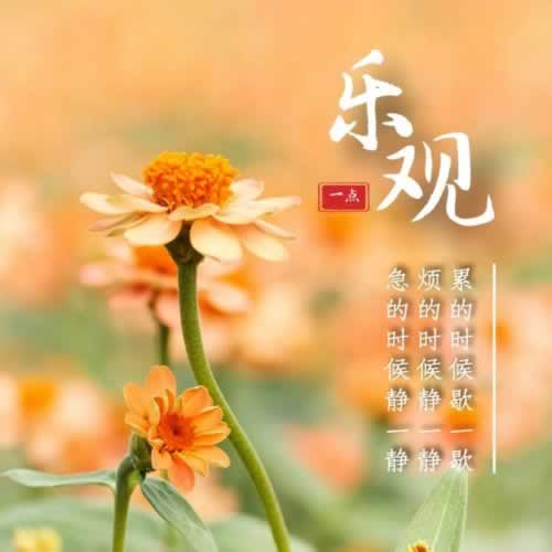 財務(wù)維護(hù)_不能提款 操作辦法(圖)