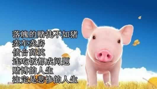平臺注入單未回傳部分數據缺失不給出款 化解策略（圖）