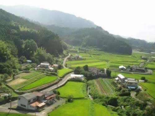 碰到平臺賬戶異常提現失敗 解決對策（圖）