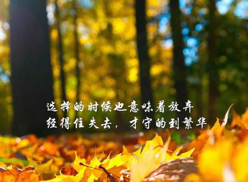 在黑網目前注但異常一直審核 操作方式（圖）