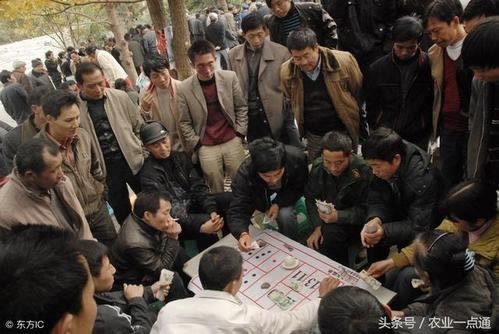 在網上黑平臺賬戶涉嫌套利審核不給提款碰到了怎么挽回（圖）